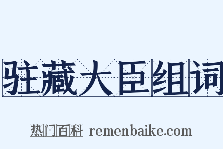 驻藏大臣组词是什么意思的图片
